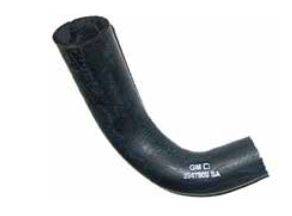 RADIATOR HOSE - LOWER