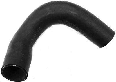 RADIATOR HOSE - LOWER