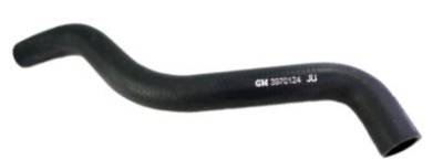 RADIATOR HOSE - UPPER