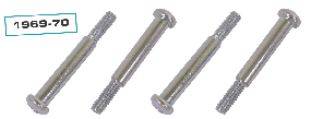 PARK LIGHT LENS SCREWS