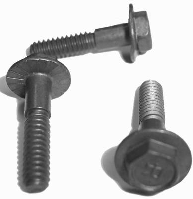 VOLTAGE REGULATOR SCREW