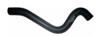 RADIATOR HOSE - UPPER   (3942453)