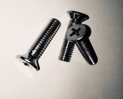 DOOR LATCH STRIKER PLATE SCREWS