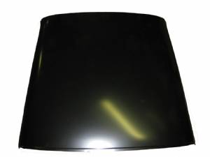 ROOF SKIN