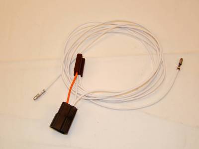 COURTESY & DOME LIGHT HARNESS