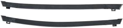 T-TOP PANEL WEATHERSTRIP - Image 1