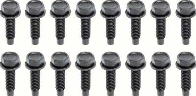 DOOR HINGE MOUNTING SCREWS - LOWER